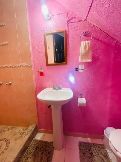 סאן מיגל דה אלנדה Casa Camilo - Cozy, Beautiful And Nice Separe Room מראה חיצוני תמונה